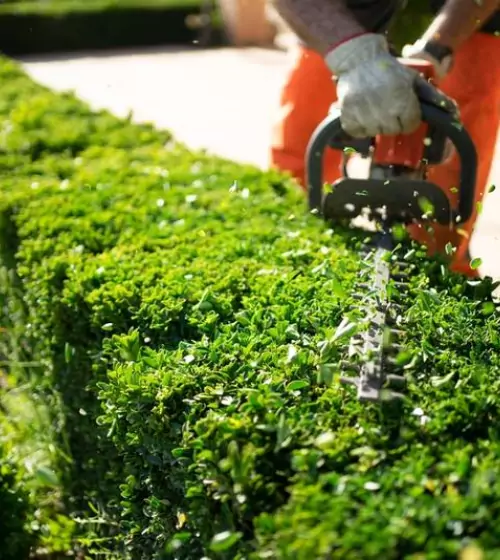 jardinage-taille-haie-95